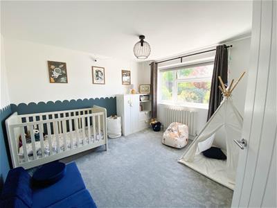 Picture 16